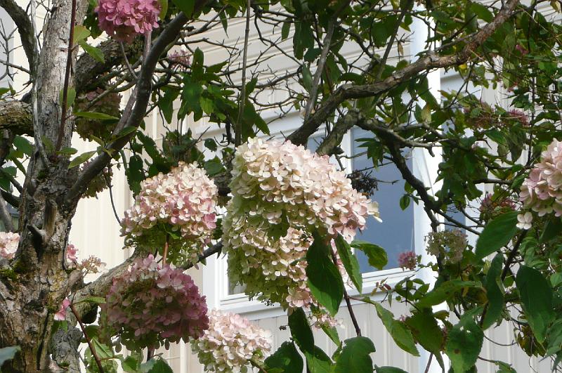 051.JPG