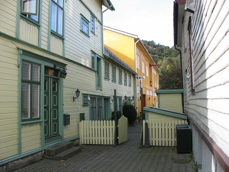 377.JPG