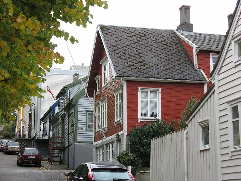 439.JPG