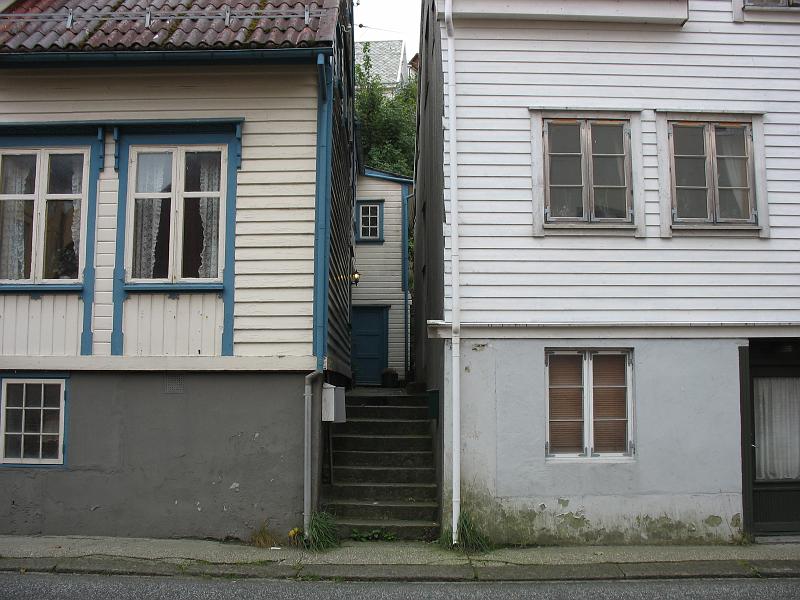 443.JPG