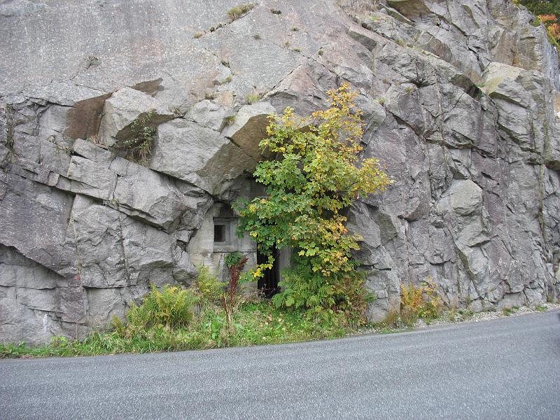 445.JPG