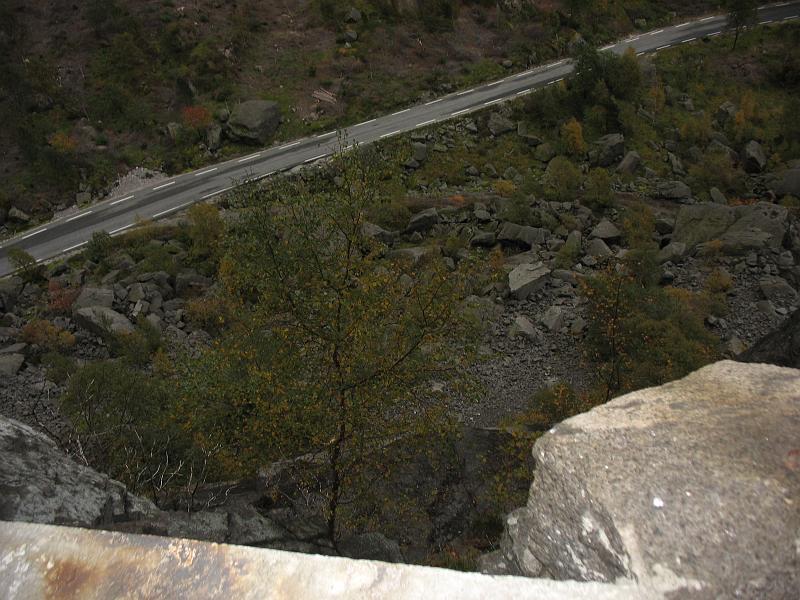 561.JPG