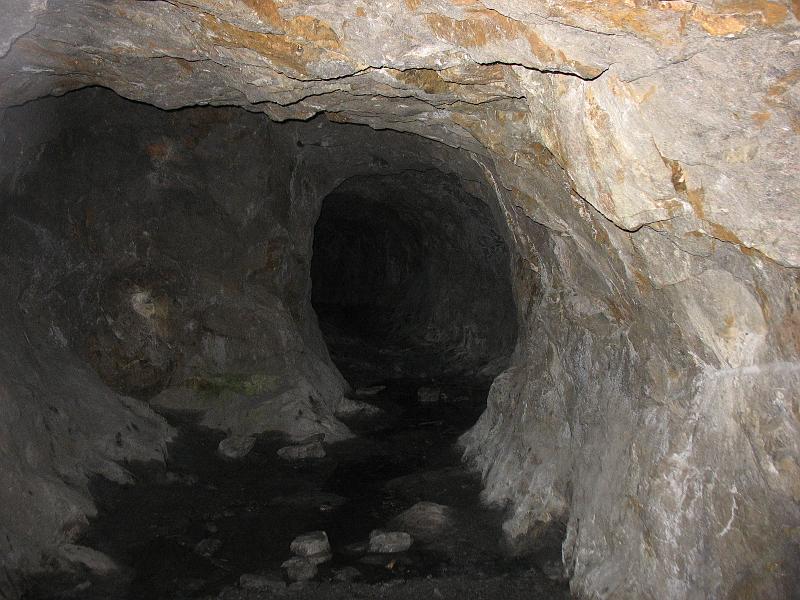 597.JPG
