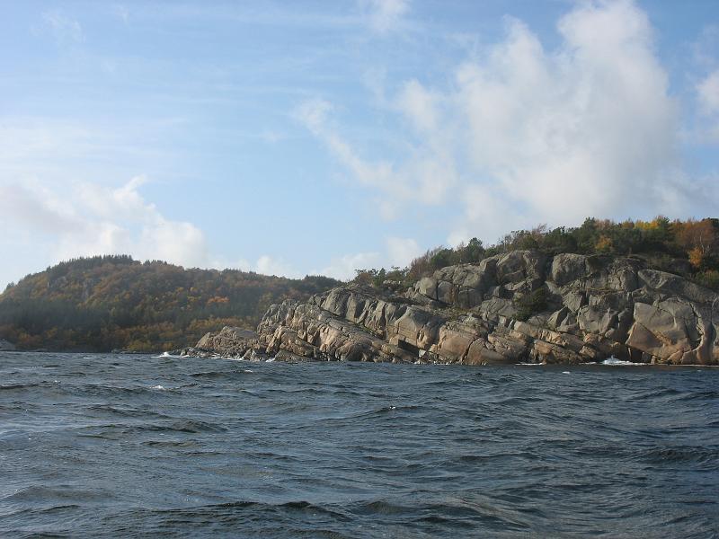 226.JPG