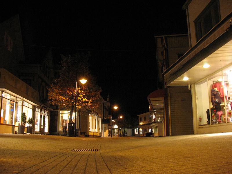 307.JPG