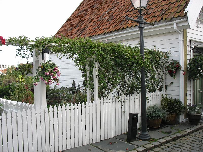 775.JPG