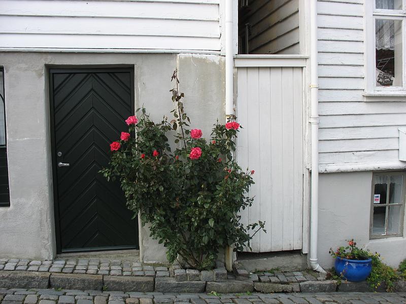 862.JPG